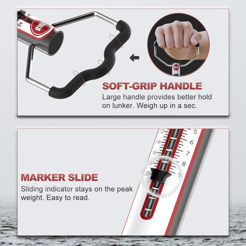 Spring Hook Scale